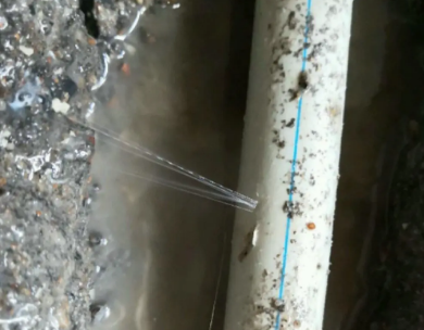 牙克石测漏水哪家好