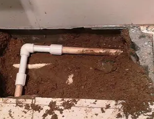 牙克石测漏水哪家好