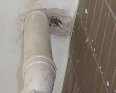 牙克石漏水检测哪家好